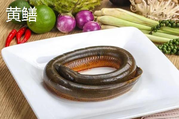 白鳝是黄鳝吗，二者是不同的鱼类