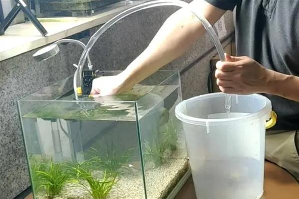 鱼缸杀菌盐如何正确使用，要注意使用量