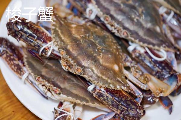蓝花蟹和梭子蟹的区别，外观有所不同