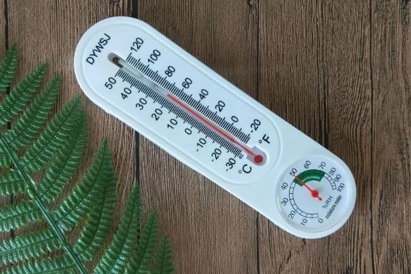 6月中旬适合种什么蔬菜，可以种夏萝卜、黄瓜等