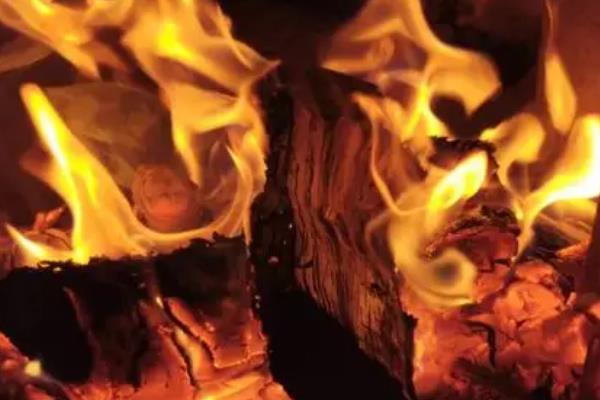 被虎头蜂蛰了会不会死亡，情况严重时可能会致死