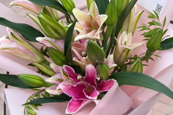 百合花的花语，一般寓意纯洁、高贵、典雅等