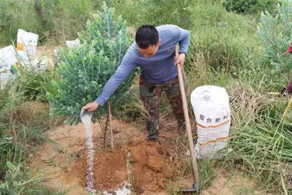 化肥的分类，主要是氮肥、磷肥和钾肥等