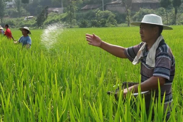 化肥的分类，主要是氮肥、磷肥和钾肥等
