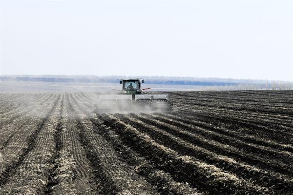 化肥的分类，主要是氮肥、磷肥和钾肥等