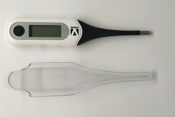 家里养宠物要准备什么东西，伊丽莎白圈是必备的医用工具
