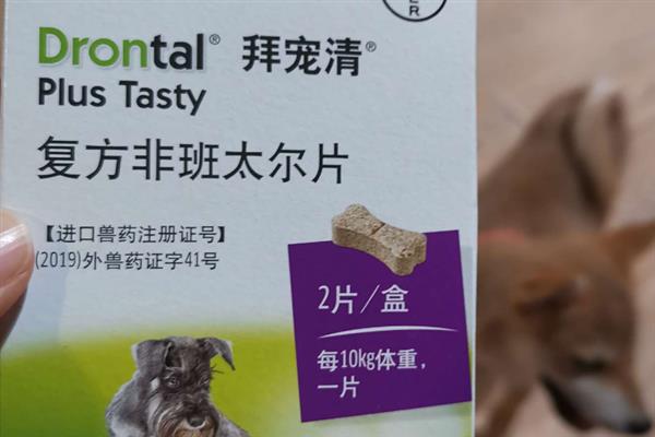 家里养宠物要准备什么东西，伊丽莎白圈是必备的医用工具