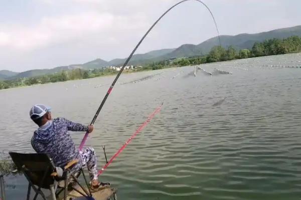 红尾鱼可以钓吗，可以钓但特别难钓