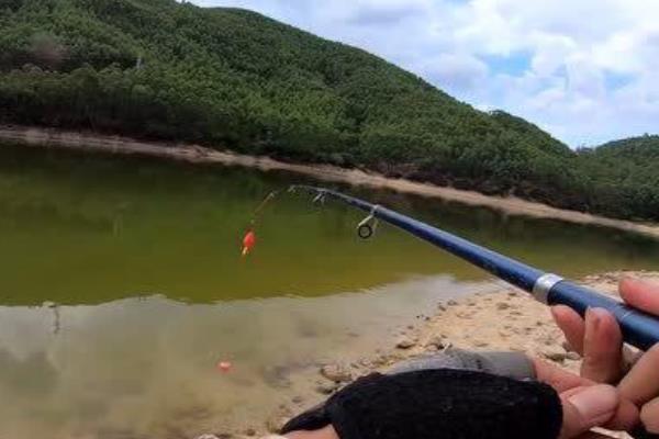 红尾鱼可以钓吗，可以钓但特别难钓