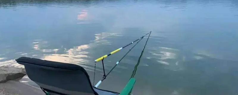 七月钓鱼用什么味型的饵料,推荐麸香、谷香、酒香型饵料