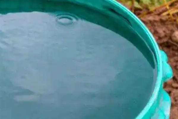 食用菌肥料的施用注意事项,肥液浓度要适当