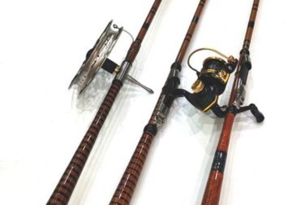 好鱼竿推荐，推荐无法一本、大物师等