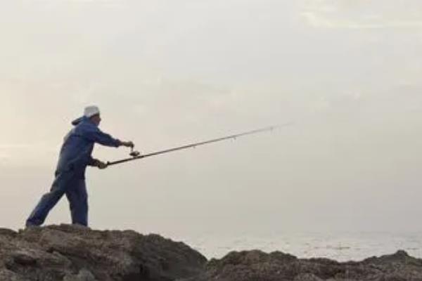 好鱼竿推荐，推荐无法一本、大物师等