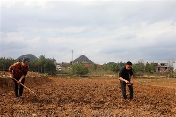 大豆如何拌种，通常在5月下旬-6月上旬进行