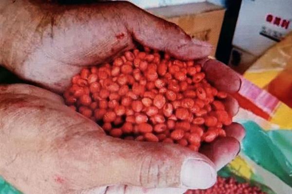 大豆如何拌种，通常在5月下旬-6月上旬进行