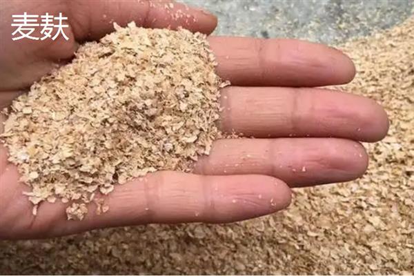 七月钓鱼用什么味型的饵料，推荐麸香、谷香、酒香型饵料