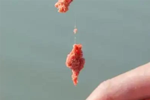 用哪种鱼钩钓淡水白鲳，以小矶钩、伊豆钩、丸世钩等钩型为宜