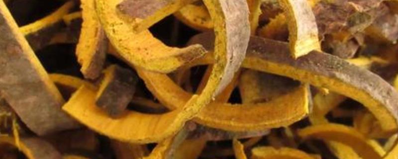 种植关黄柏用哪种土壤，以土层深厚、酸碱适宜的土壤为宜