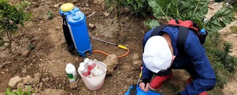 30％的草甘膦与水的配比，每200毫升药液兑水30斤