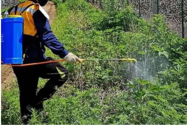 除草剂的类型，常见的有苯氧羧酸类、苯甲酸类等