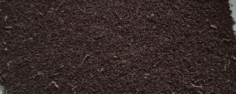 养心菜种子的催芽方法，用热水浸种后放在25-35℃的环境中