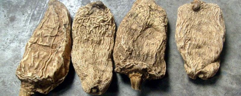 纯野生天麻的价格，一斤在130-400元左右