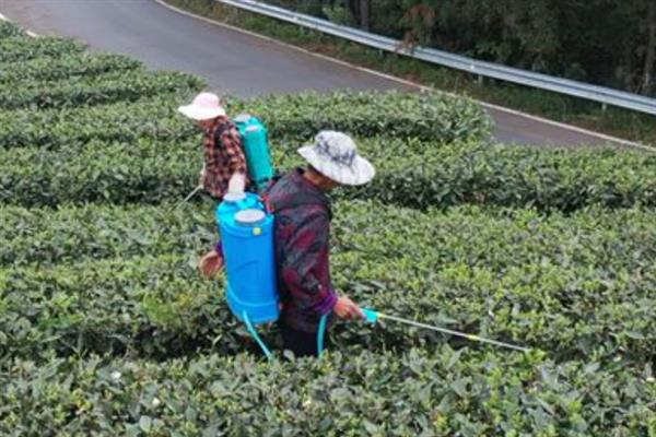 30％的草甘膦与水的配比，每200毫升药液兑水30斤