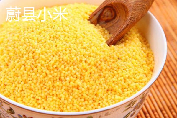 小米几月份可以收割，春播通常在夏季收获