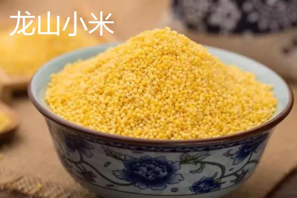 小米几月份可以收割，春播通常在夏季收获