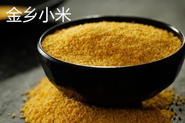 小米几月份可以收割，春播通常在夏季收获