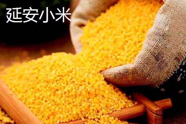 小米几月份可以收割，春播通常在夏季收获