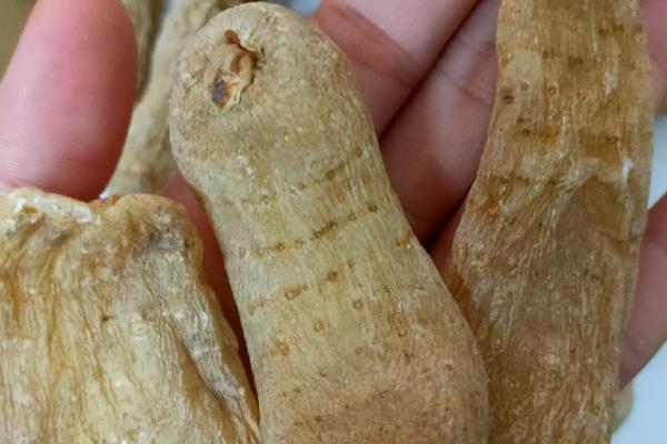 纯野生天麻的价格，一斤在130-400元左右