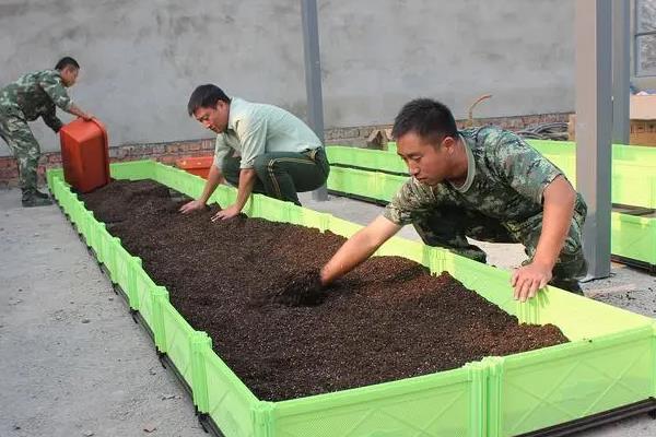 蚯蚓的养殖方法，每平方米放养1-1.5万条