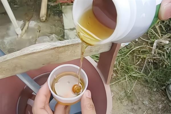 异菌脲与什么药配好,可以与多菌灵或甲基硫菌灵混用