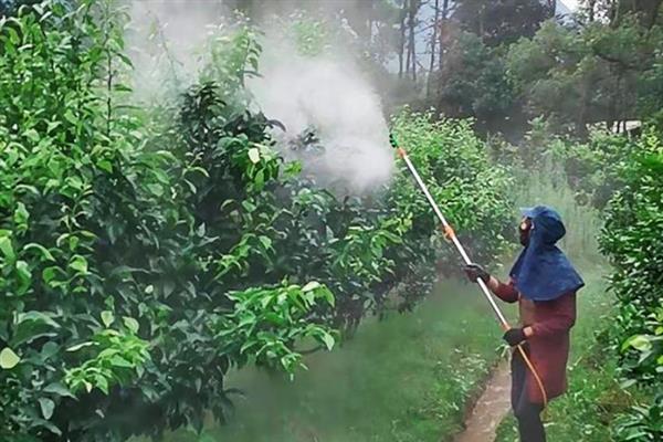 异菌脲与什么药配好,可以与多菌灵或甲基硫菌灵混用