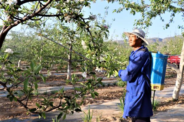 异菌脲与什么药配好,可以与多菌灵或甲基硫菌灵混用