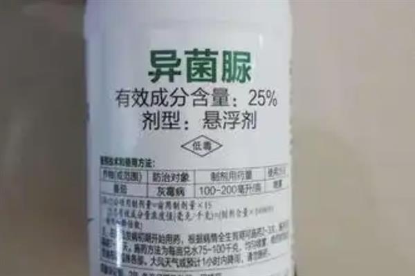 异菌脲与什么药配好,可以与多菌灵或甲基硫菌灵混用