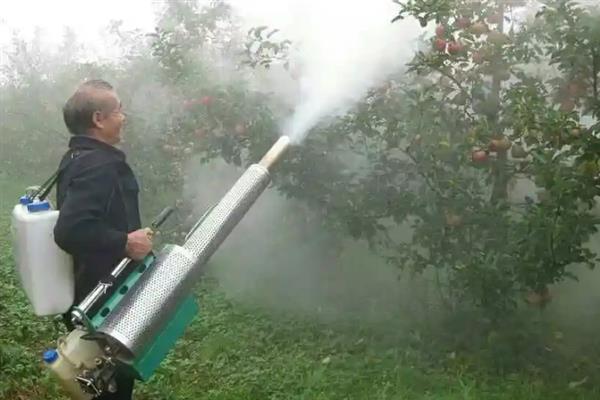 异菌脲与什么药配好,可以与多菌灵或甲基硫菌灵混用