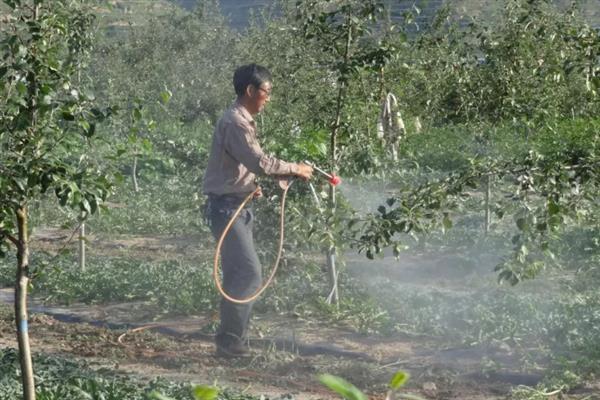 异菌脲与什么药配好,可以与多菌灵或甲基硫菌灵混用