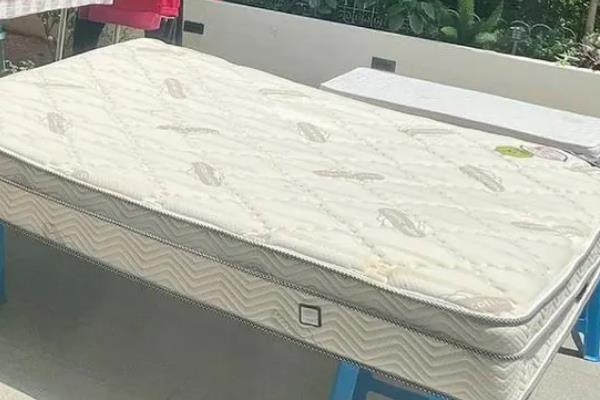 消灭皮蠹幼虫的方法，可喷施专用的气雾或杀虫剂