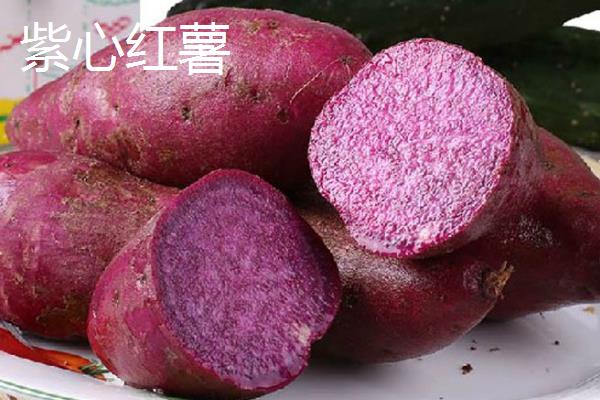 红薯的种类，苏薯2号、红心红薯、紫心红薯等10个品种较常见