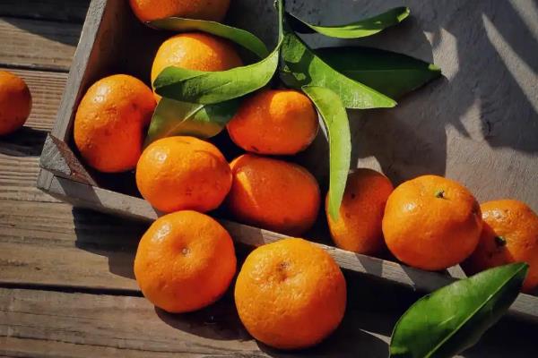 橘子和桔子的区别，二者没有区别