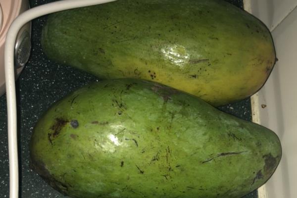 怎么判断大青芒有没有成熟，果皮上面产生黑点代表果肉高度成熟
