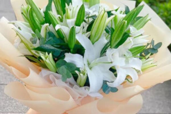 第一次约会适合送什么花，可选择玫瑰花、百合花等