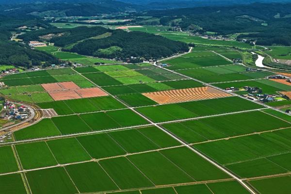 耕地的类型，包括灌溉水田、望天田等