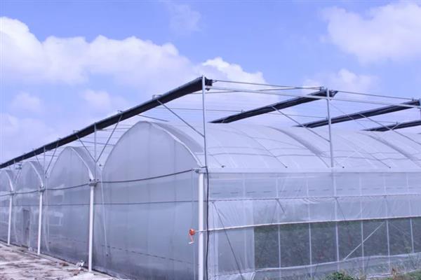 羊肚菌的种植方法，土壤PH值需维持在6.5-7.5左右