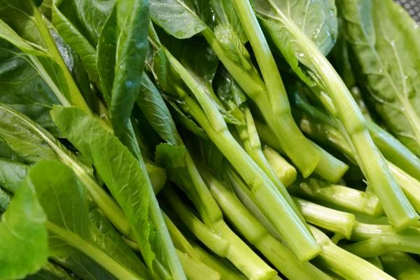 一年四季可以种哪些蔬菜，甘蓝、油菜、白菜等品种可在12月份种植
