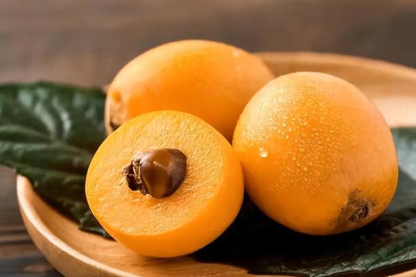仓鼠的食物，五谷类、水果类、蔬菜类等均可喂食