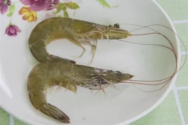 对虾和基围虾的区别，生活习性和外形均不同