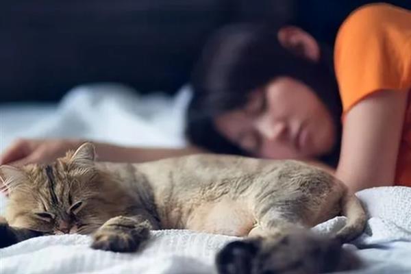 人用的沐浴露能不能给猫洗澡，长期使用会导致猫咪出现掉毛等情况